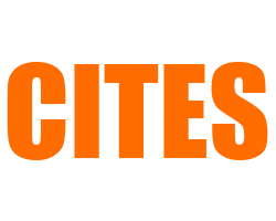 CITES